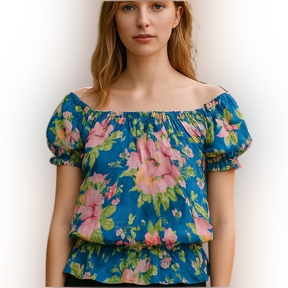 GILLY HICKS TOP Sydney Sheer Floral Detail Puff Sleeves Blue Pink Women’s SZ L